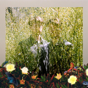 Album cover for Company by Andrew Byars